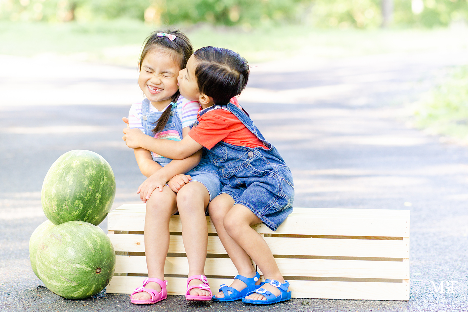 summer watermelon mini session of siblings dressed in denim overalls, brother is kissing his sister, taken in Ellanor Lawrence Park in Chantilly, Virginia by TuBelle Photography a family photographer