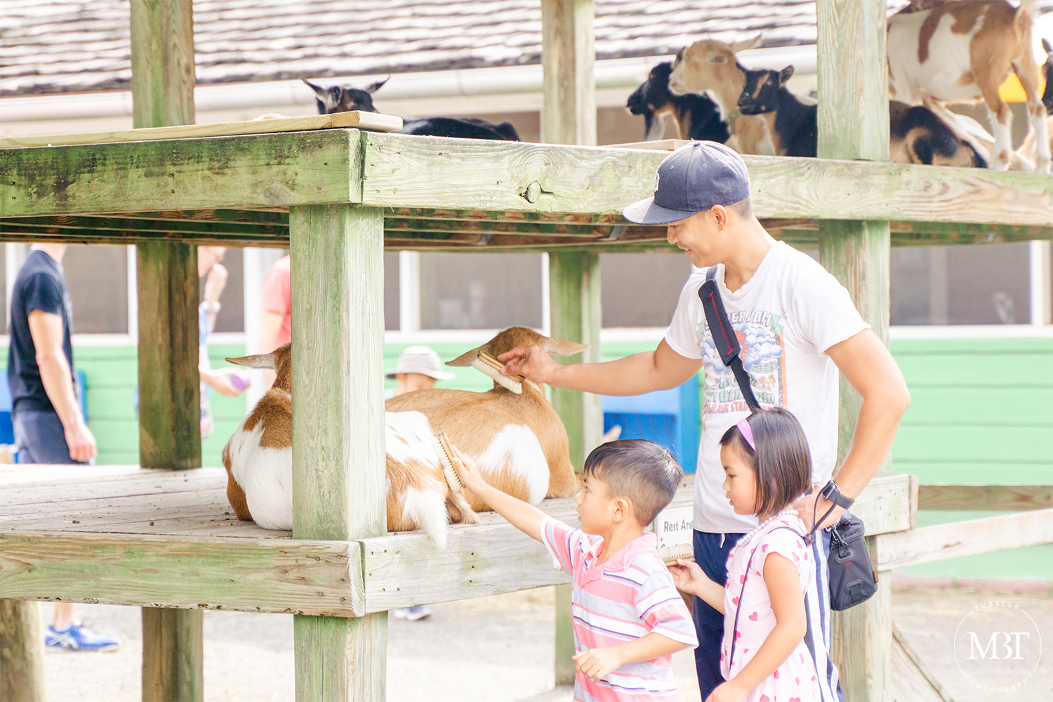 daddy & kids brushing the goat at Virginia Zoo in Norfolk, Virginia taken by a DMV family photographer