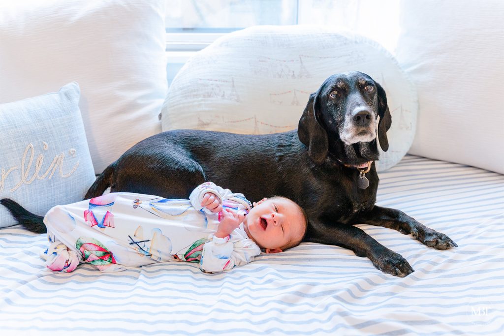 baby with dog taken during a lifestyle newborn session by a Northern Virginia newborn photographer