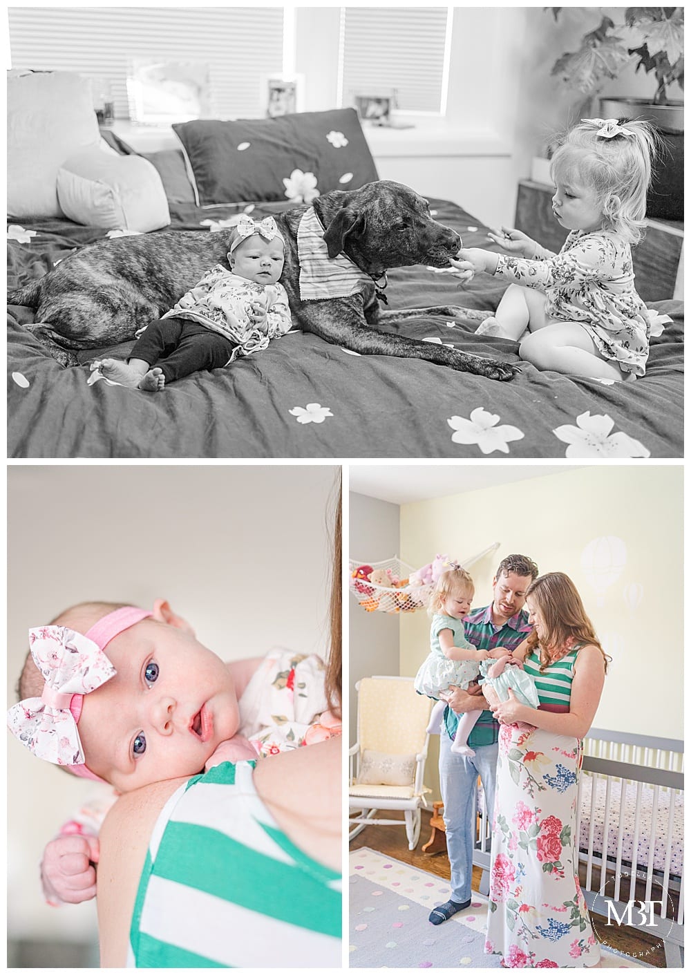 collage of in home newborn pictures taken in Northern Virginia by TuBelle Photography, a Virginia newborn photographer