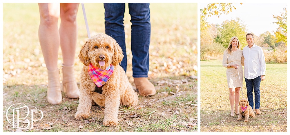 family with a dog during fall mini session in Sterling, VA, taken by TuBelle Photography, a Northern Virginia family photographer