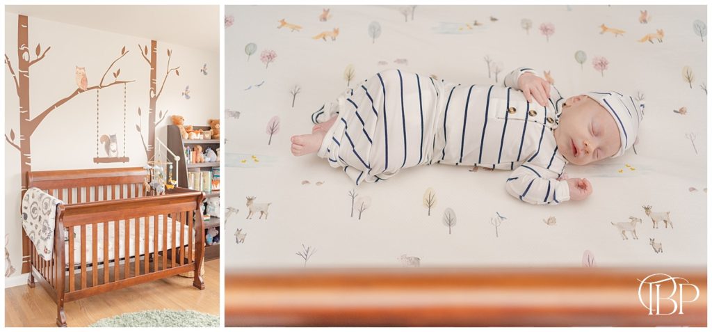 Forest themed nursery and newborn baby boy sleeping in his crib for his in home newborn session in Reston, Virginia. Taken by TuBelle Photography, a Reston, VA newborn photographer.
