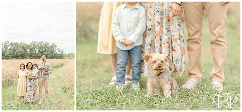family of 5 with dog posed for photos during fall minis in Manassas, VA
