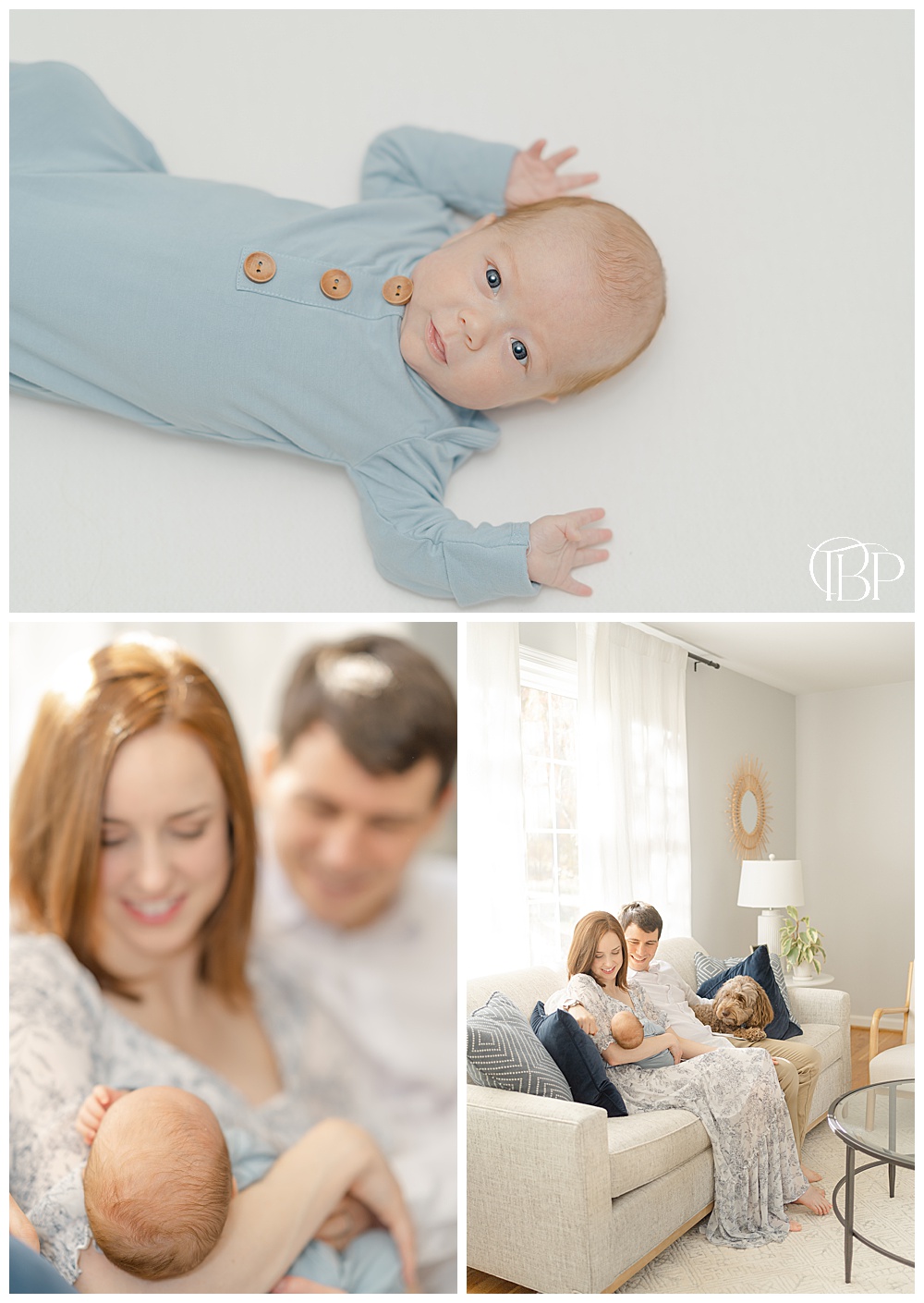 collage of in home newborn photos in Arlington, VA