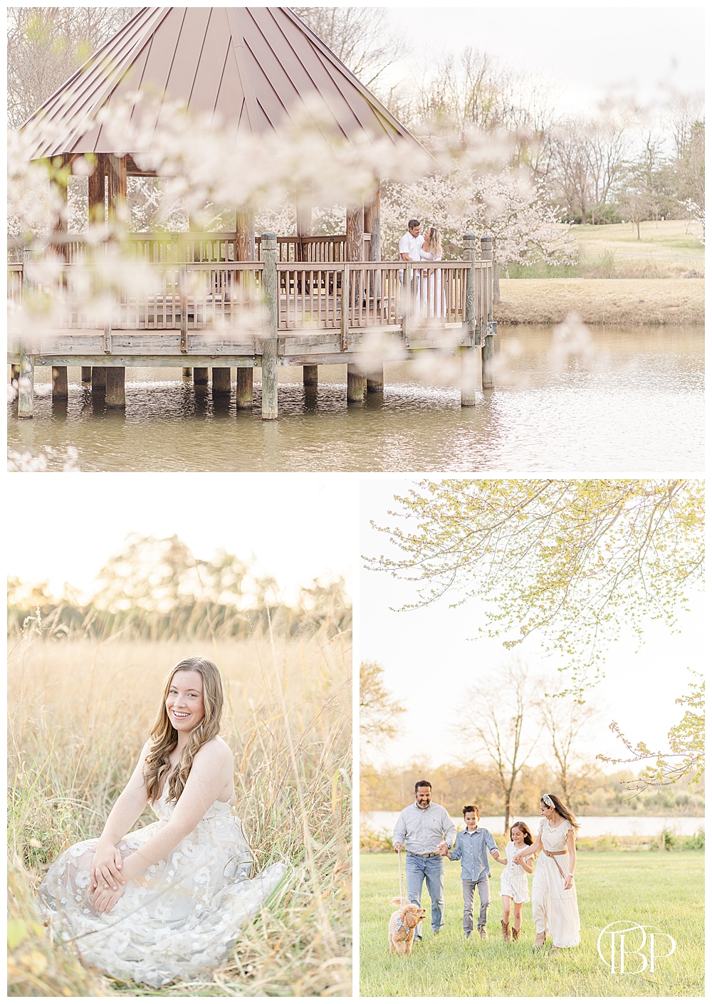 Family, senior, and maternity photos with cherry blossoms in VA