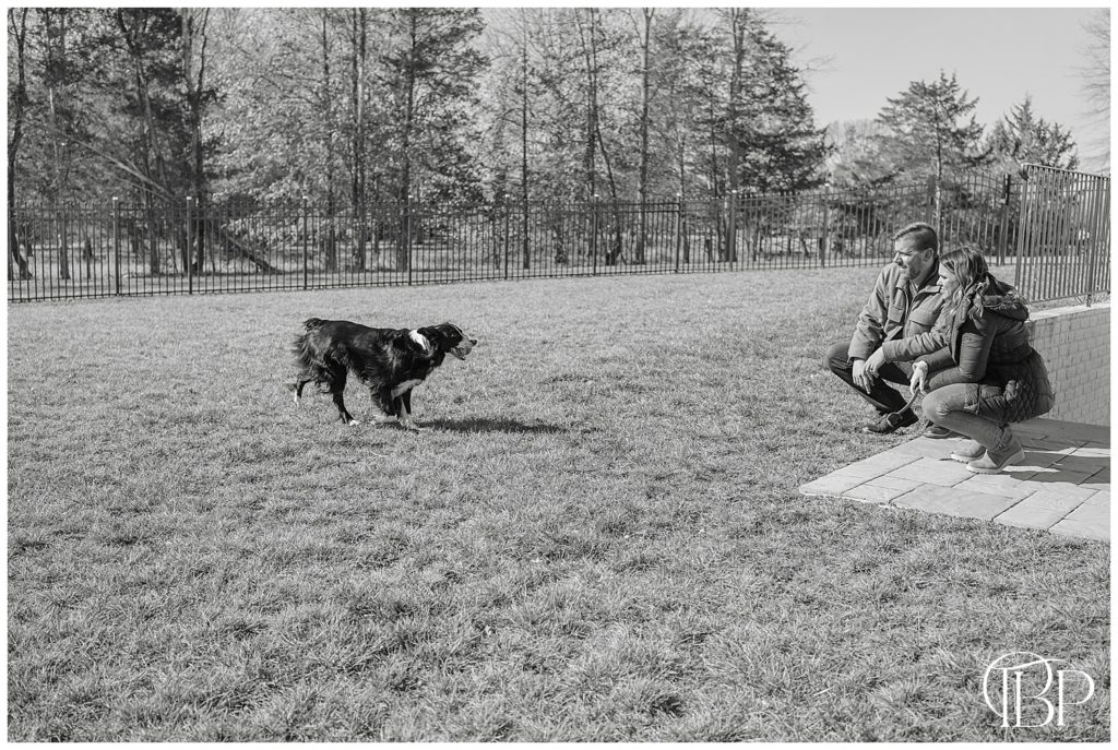 Family playing with their dog at their backyard taken by a lifestyle photographer in Fairfax, Virginia