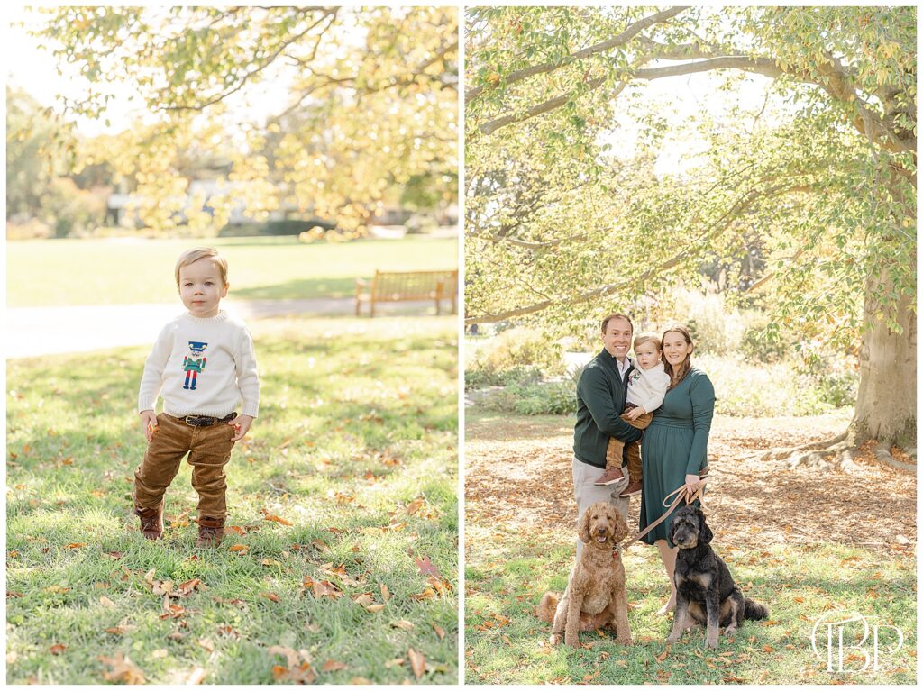 Family of 3 with 2 dogs during Fairfax County, VA fall mini sessions