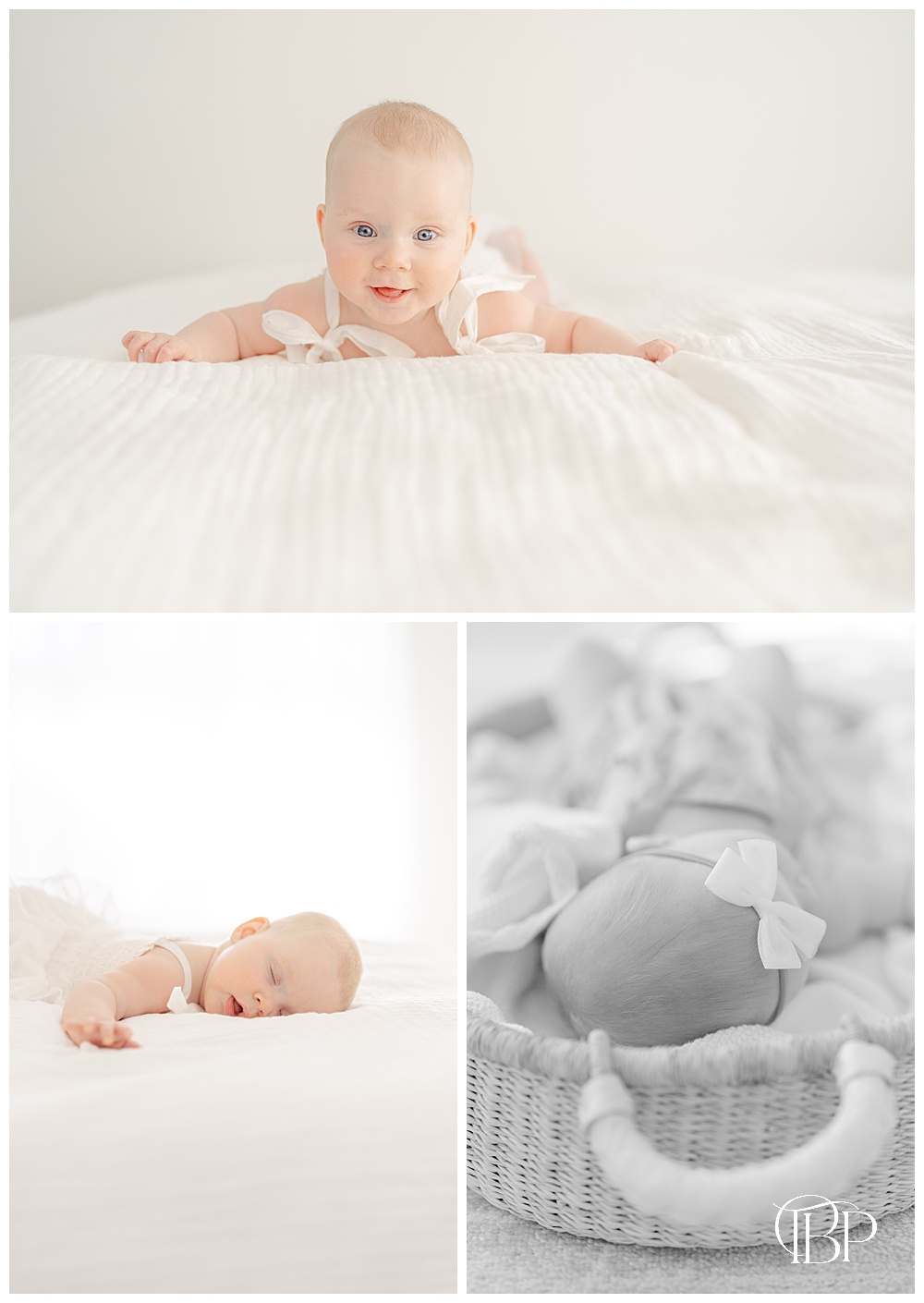 6 Month baby photos in Gainesville, VA studio