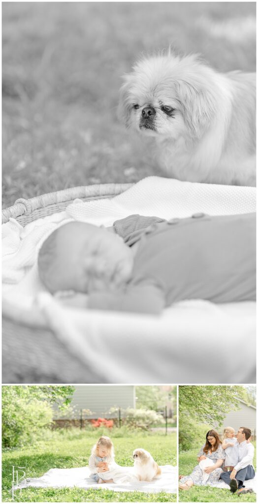 Ashburn,VA outdoor newborn photos