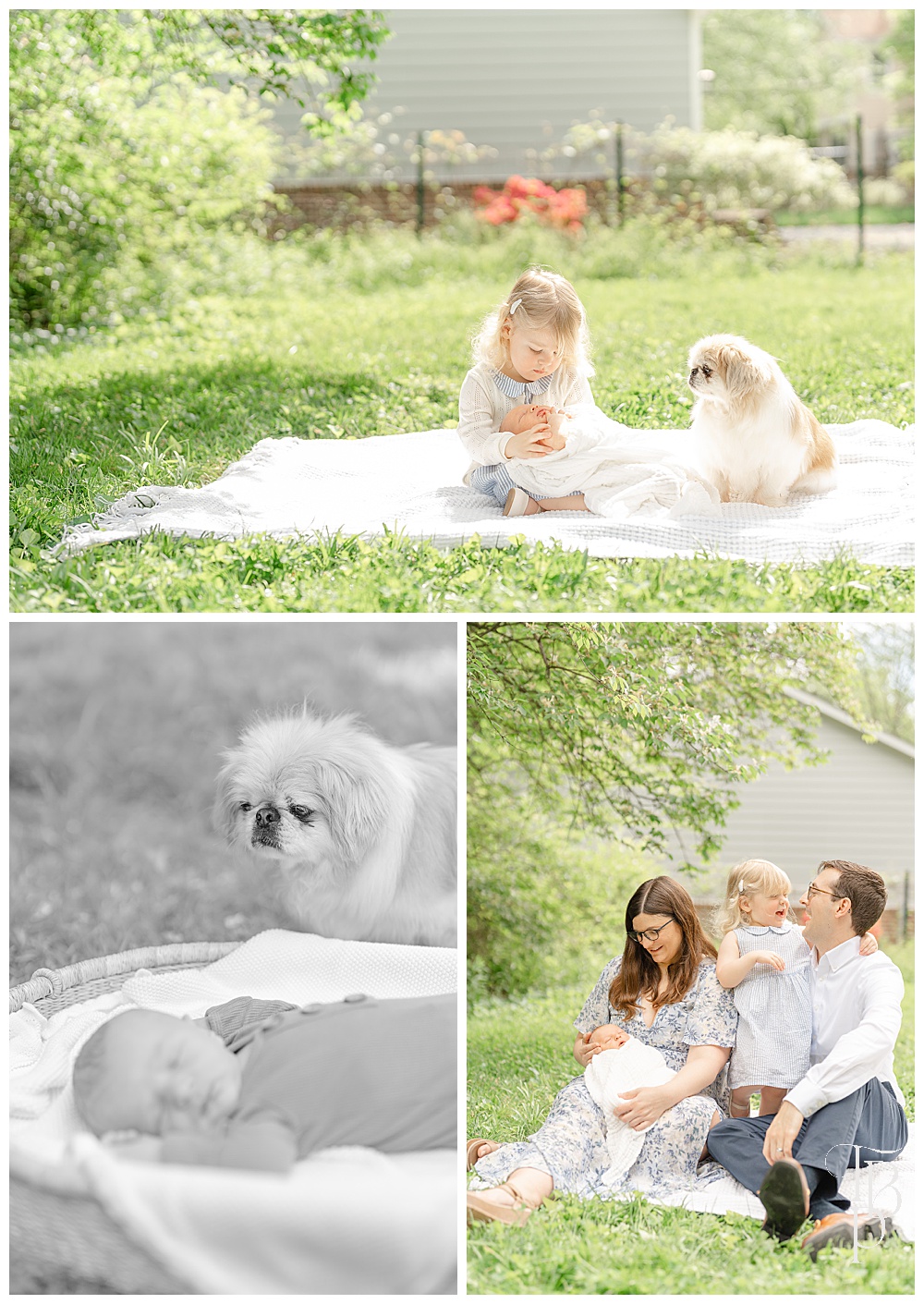 Ashburn,Virginia outdoor newborn photography