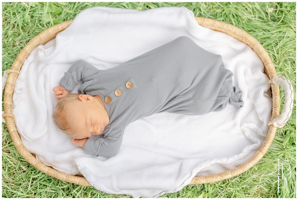 Baby in a Moses basket during outdoor newborn picture