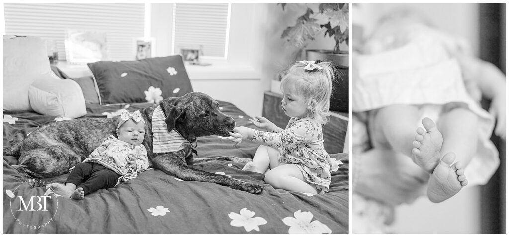 toddler feeding dog while newborn baby girl lay down